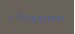 Projecten