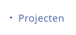 Projecten